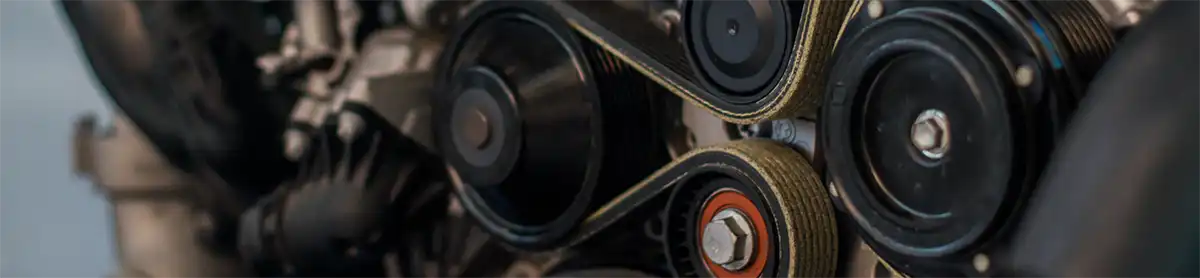 Hill Section Los Angeles Auto Repair Serpentine Belt Replacement